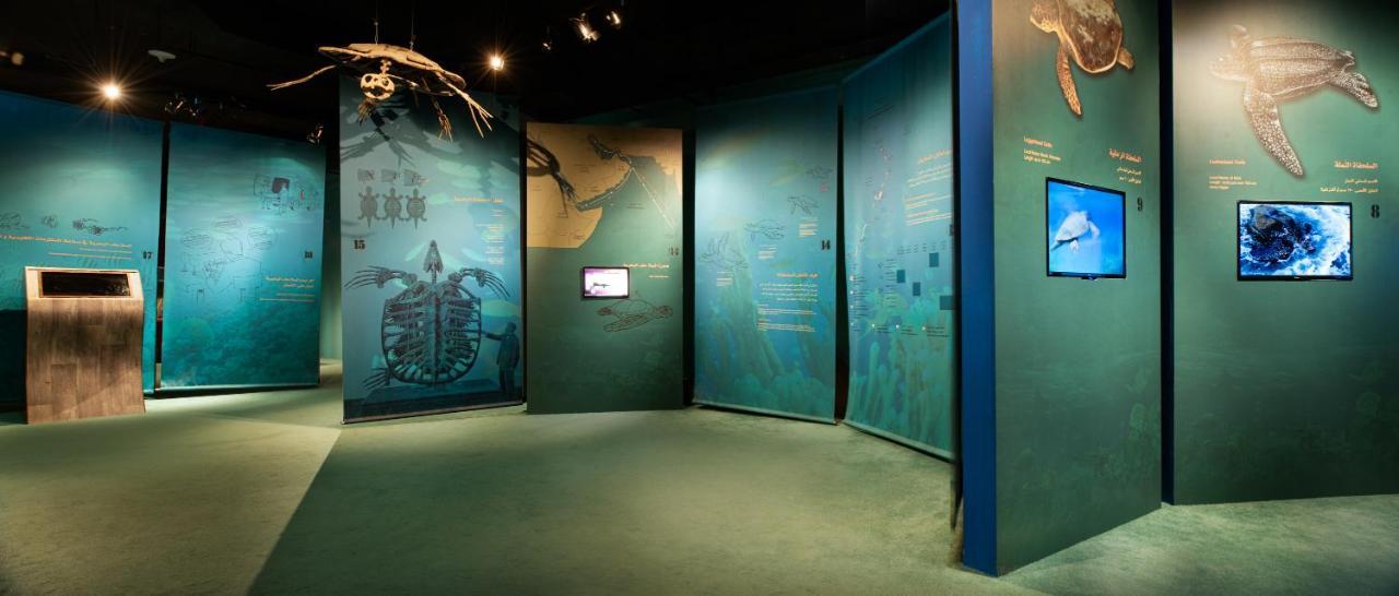 Ras Al Jinz Turtle Reserve Al Hadd Экстерьер фото
