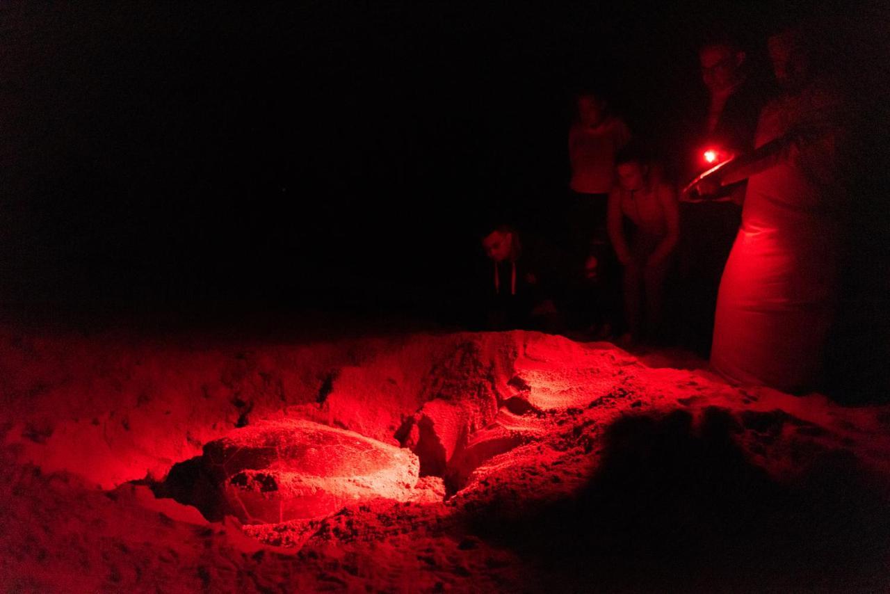 Ras Al Jinz Turtle Reserve Al Hadd Экстерьер фото