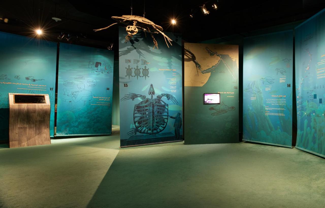 Ras Al Jinz Turtle Reserve Al Hadd Экстерьер фото